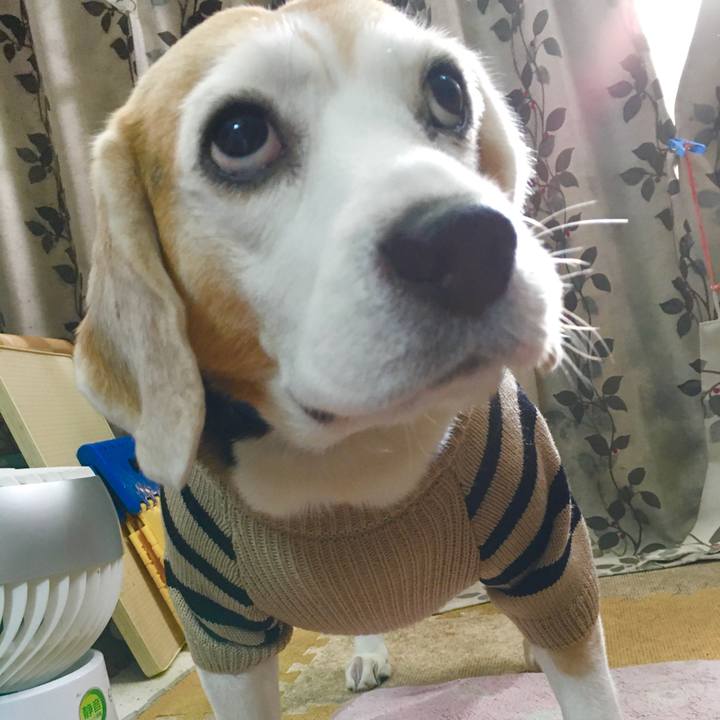 60ccb30d e8d1 4e7e 9963 ec7189506116 1577948149981