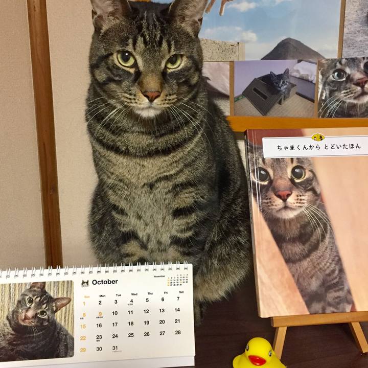 60ccf0cc e30d 4186 a2b0 c50e5fe12693 1509764211537