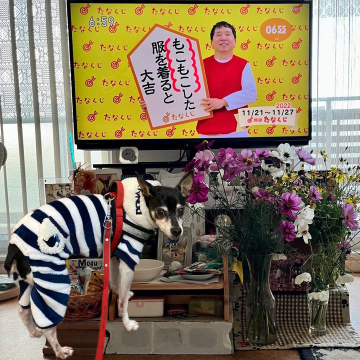 60cd020e 6b2e 4148 9858 0117c00414ad 1668982809705