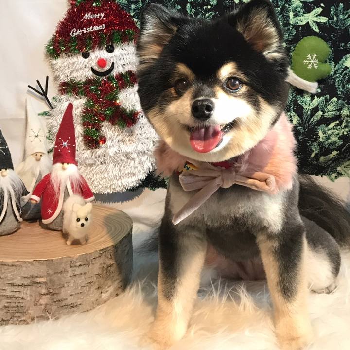 60cd1c5f ae9d 4ae6 9c0b 2b4ef786440b 1545130542699