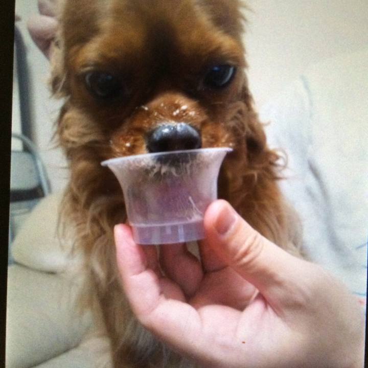 60cd398c dd6a 4e55 9f08 4cde4873612e 1512598512643