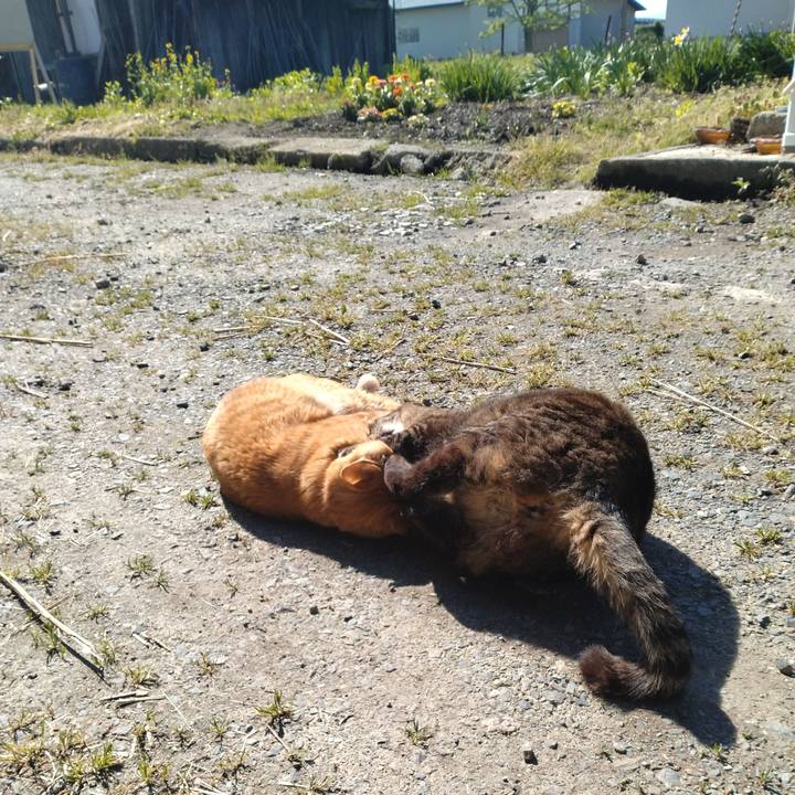 60cd59ab 4256 4530 9b11 425a204a8013 1683794204626