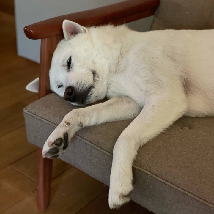 60cd708b 2cdd 4c67 8483 90c9abe78553 1616066295219