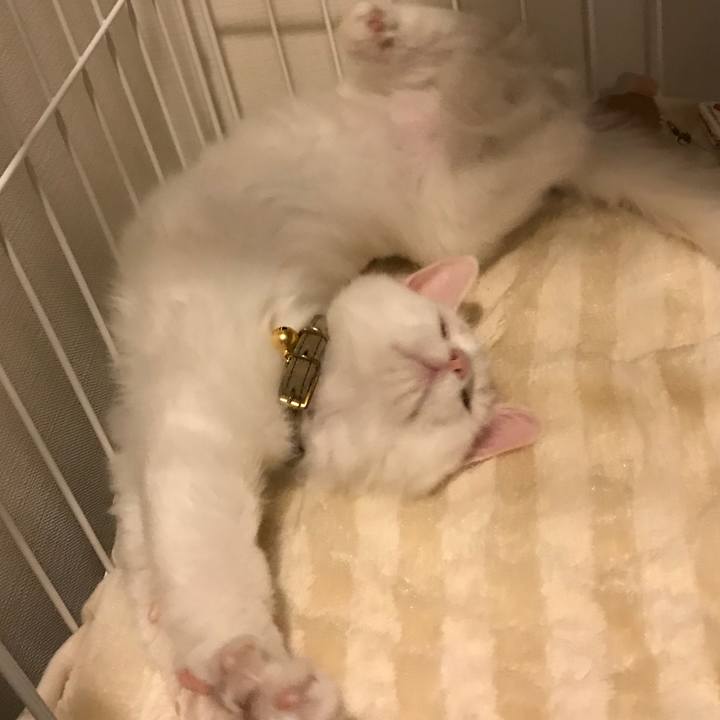 60cd849d 8829 4d27 929b 640eeca703ee 1508672425688