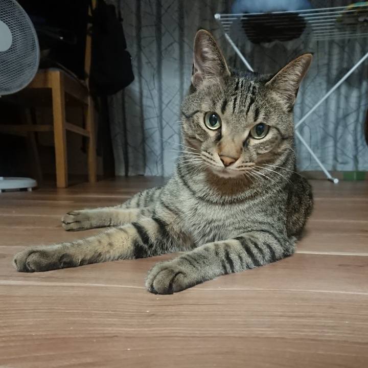 60cd9869 81ea 4d8f 9156 9388afd30a9b 1565779483139