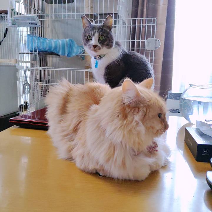 60ce0f4b 29e3 4bfd 90c9 705d5071832d 1671331005485