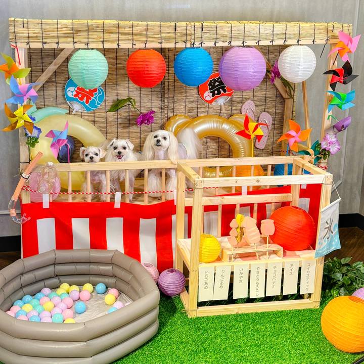 60ce0f86 675b 4405 ad35 2fb32b05ff46 1720870805606