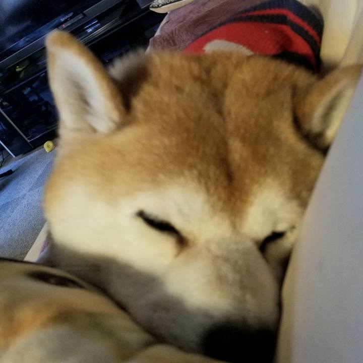 60ce248a b08a 464a a4f9 78f1b17828b1 1606459488267