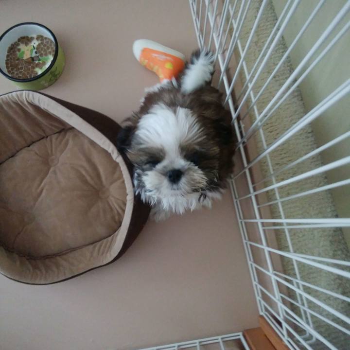 60ce537d 6e7e 4b0e 85aa 630fbcac2774 1531972954737