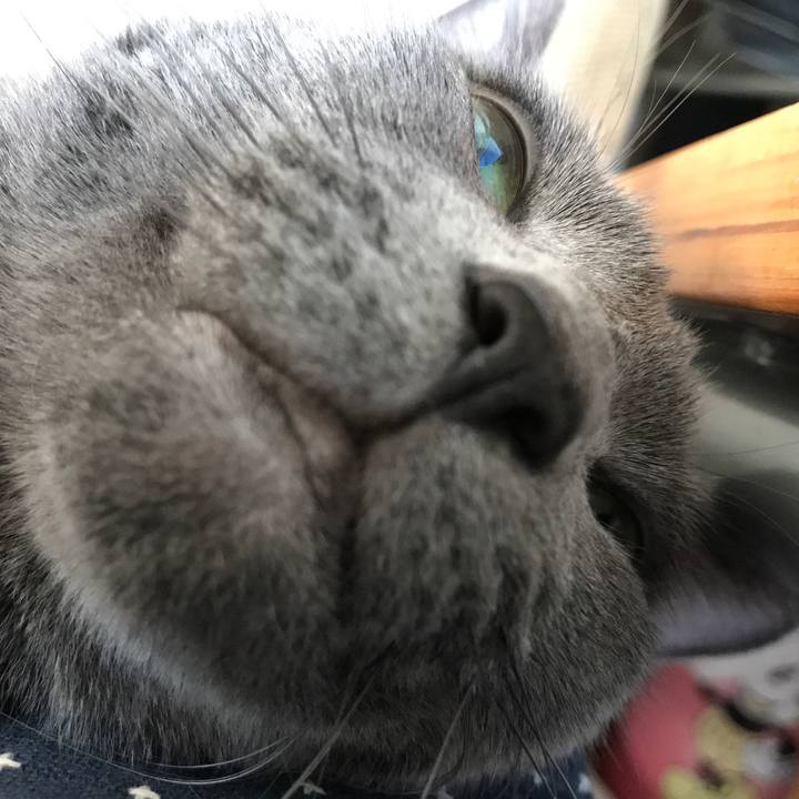 60ce8b42 b174 4486 9292 2110a87c53b9 1540016942423