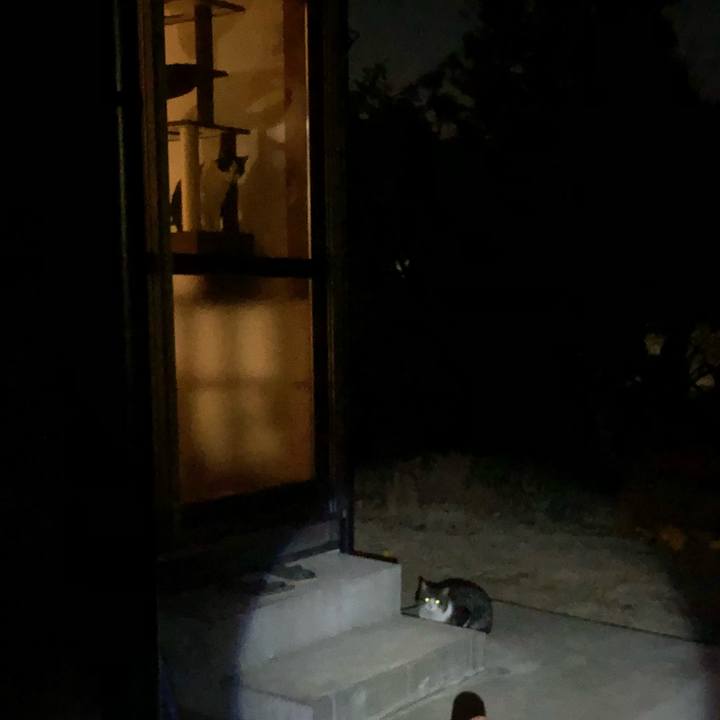 60cea8d8 63f6 42df bf1c 7bba1898e29b 1547812537844