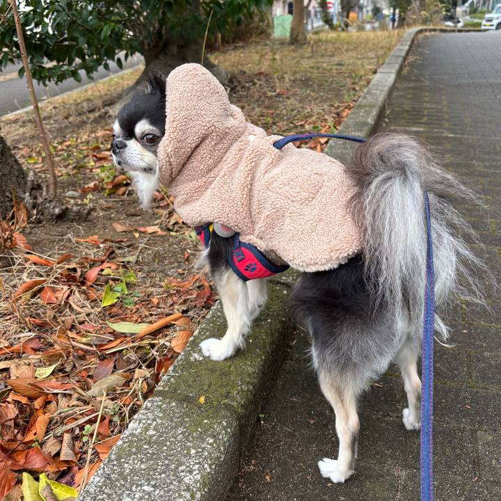 60cecb2d dfef 4ff9 a4db a6a19ed1522b 1766337275556