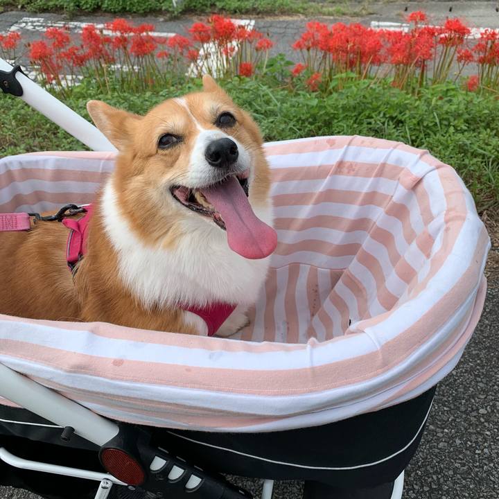 60cecf71 e9ee 4a78 9c7a 4a63f9d90876 1663813427245