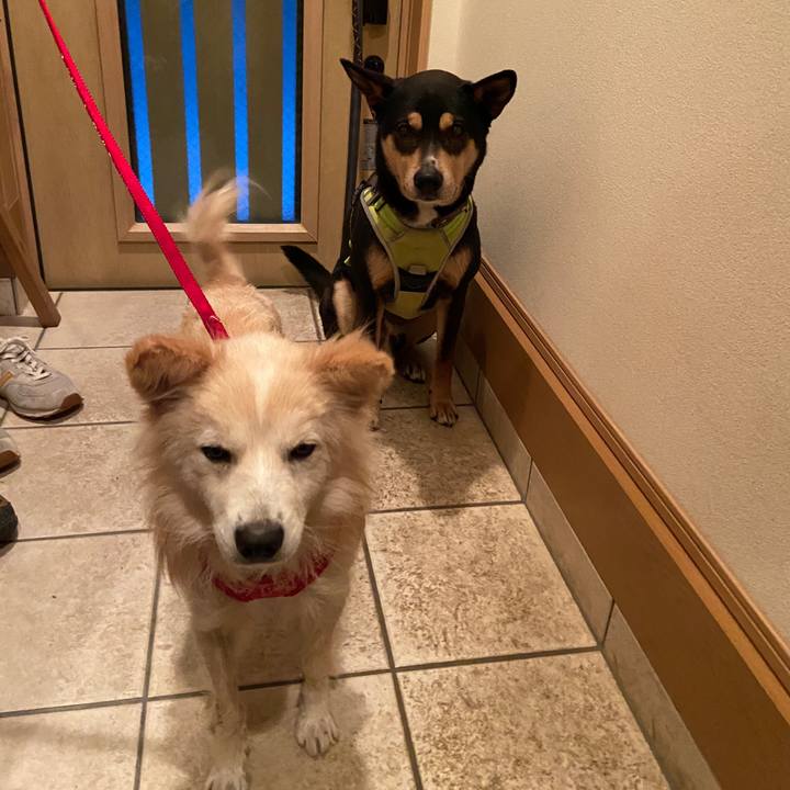 60cf5938 d83b 43e7 ae7a 8dd5bc264b1e 1647176254898