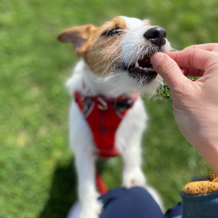 60cf61dc e762 49f9 9563 559e161dc3d2 1647748599746