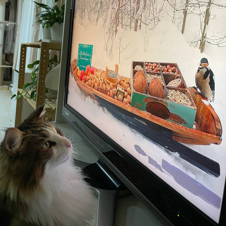 60cf7115 c198 44e5 a841 242a8d60ad23 1666209639193