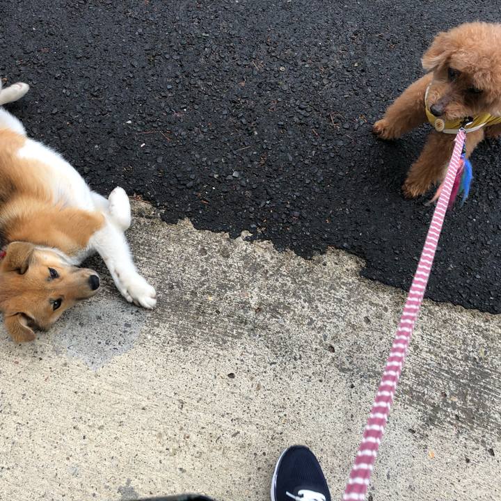 60cf7d4c e020 4be9 9a15 96f6da53f88d 1617644657531