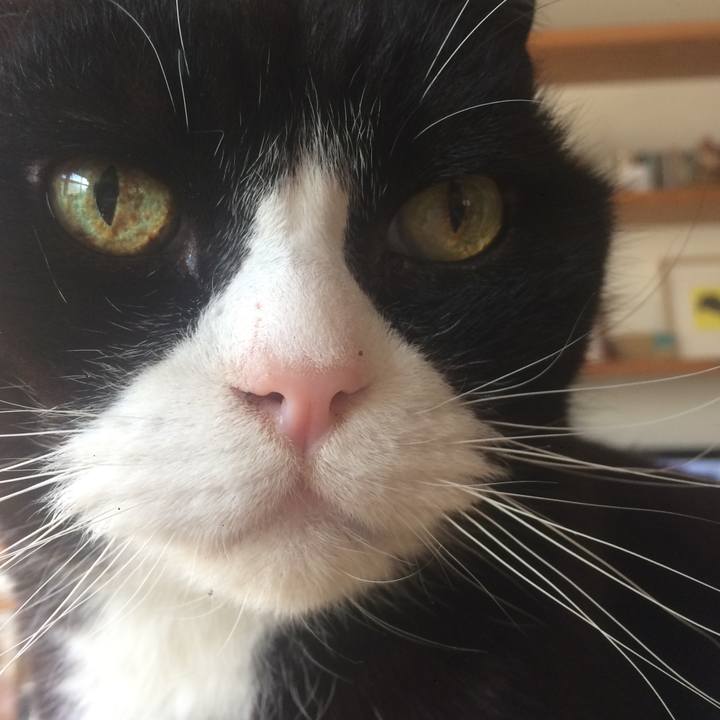 60cfba7a 6a3e 49ed 916a 1731c5cd8b2b 1584748779537