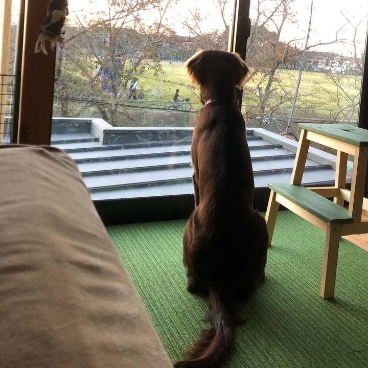 60cfbee5 82da 4765 870f 3f27523576aa 1573092561497