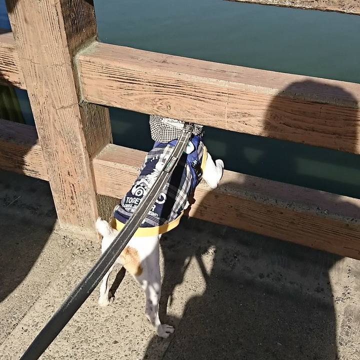 60cfca7a 1bd8 470a b569 5c34b5897a59 1534549655309