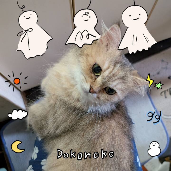 60cfcb8f 6657 4882 aef6 24f99c4d05b9 1749599698200