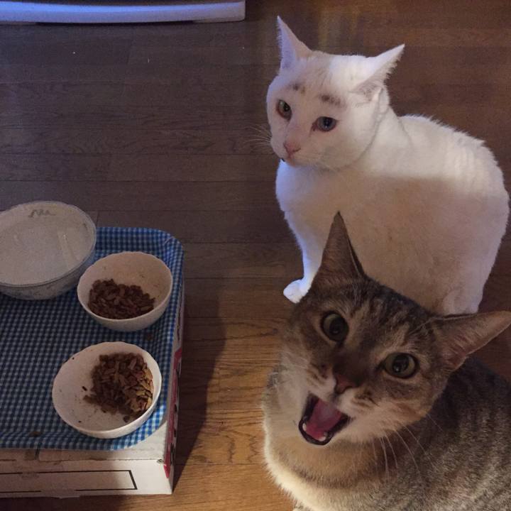 60cff543 2ac5 4920 96ad ab8a7eb1be8d 1583875233697