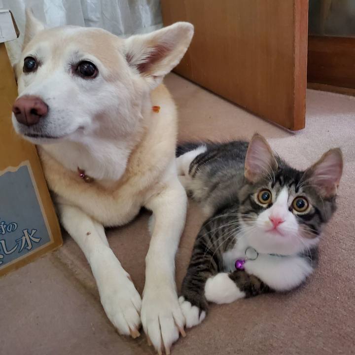 60d00e4c ee63 41a7 aceb d532a4bb4a2d 1630929029971