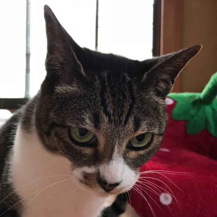 60d031d0 2f56 4ec3 8f7b 25eda43111b1 1528939401677