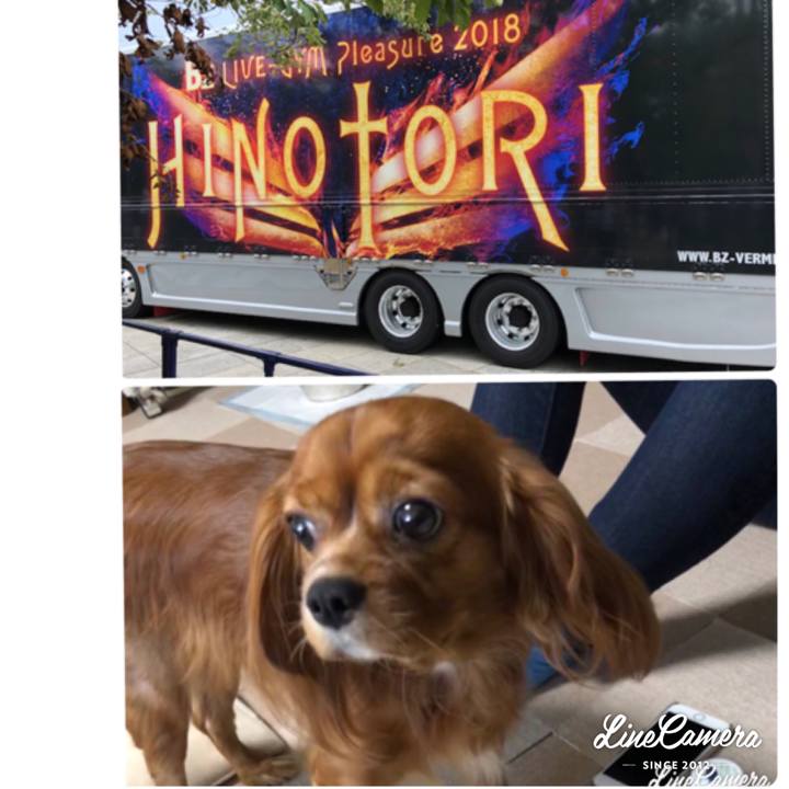 60d03a0e 8d73 45e5 a2db 58b6c98bfc97 1537097164751