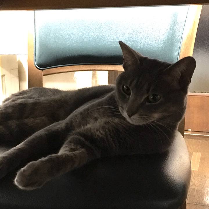 60d04083 9270 4617 a7d4 40659e211cff 1578311618673