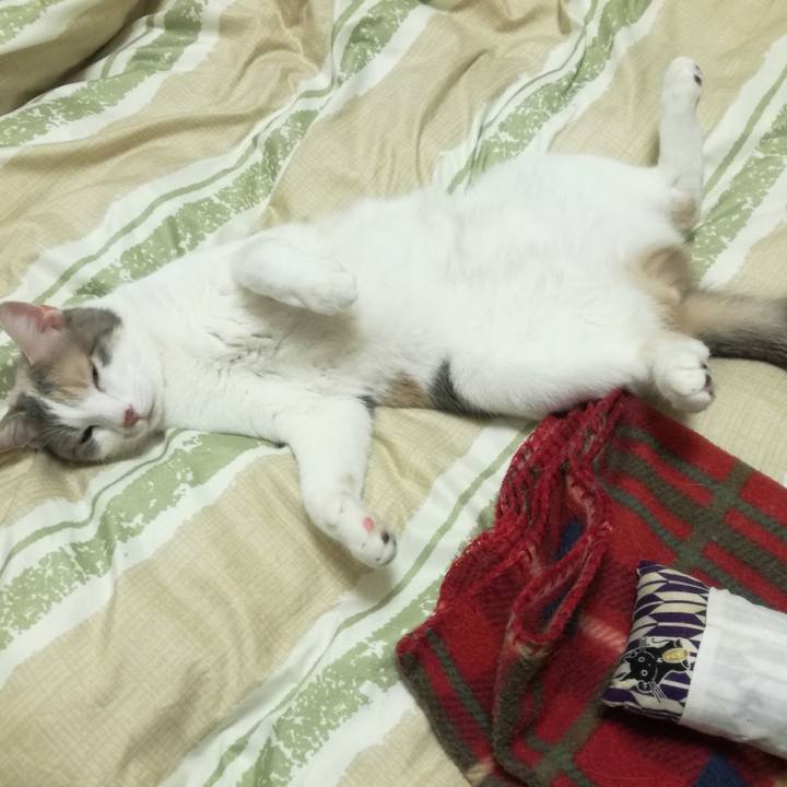 60d04ebd f71b 47f0 8d31 b3d5471491c2 1522203902361