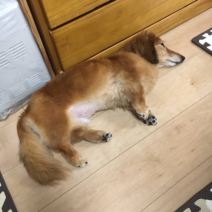 60d05a36 a11f 4afd 88e6 cbd6207c59b8 1634046843878