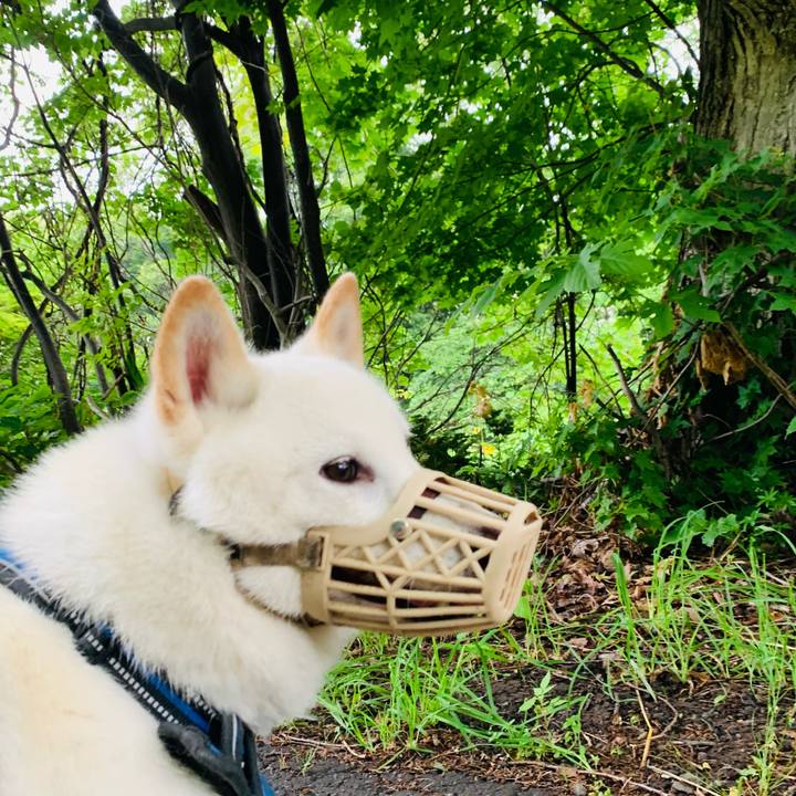 60d0dcf3 f166 48ab b1c2 165a70ca3655 1624568806469