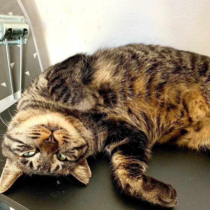 60d0ec15 d8da 4753 8d62 b2b5de4fda2b 1575004007041