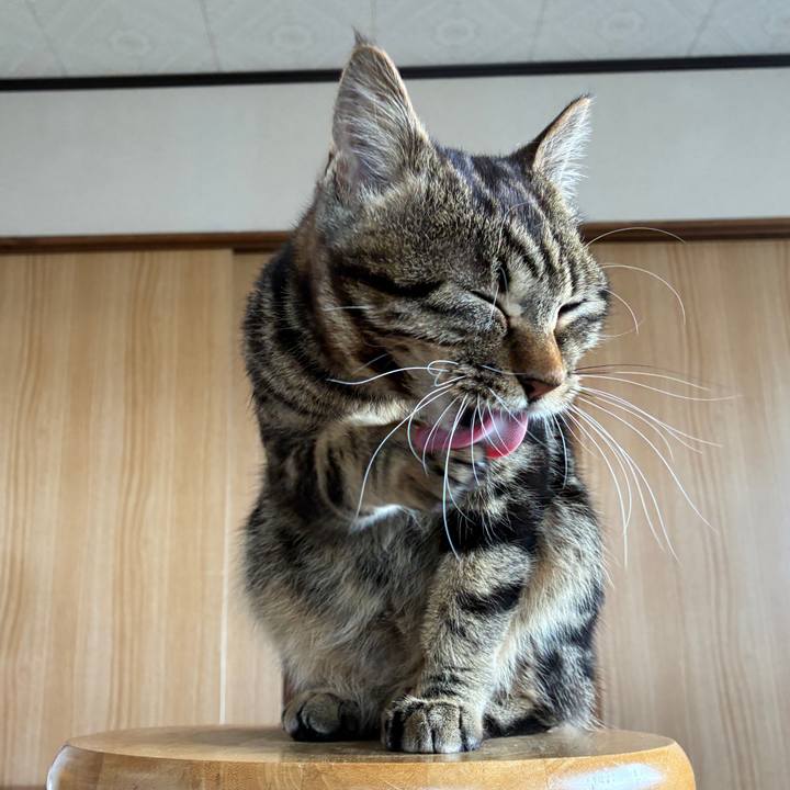 60d0f0ed 6e77 4145 ace0 1d732bc4f3e7 1746227929637