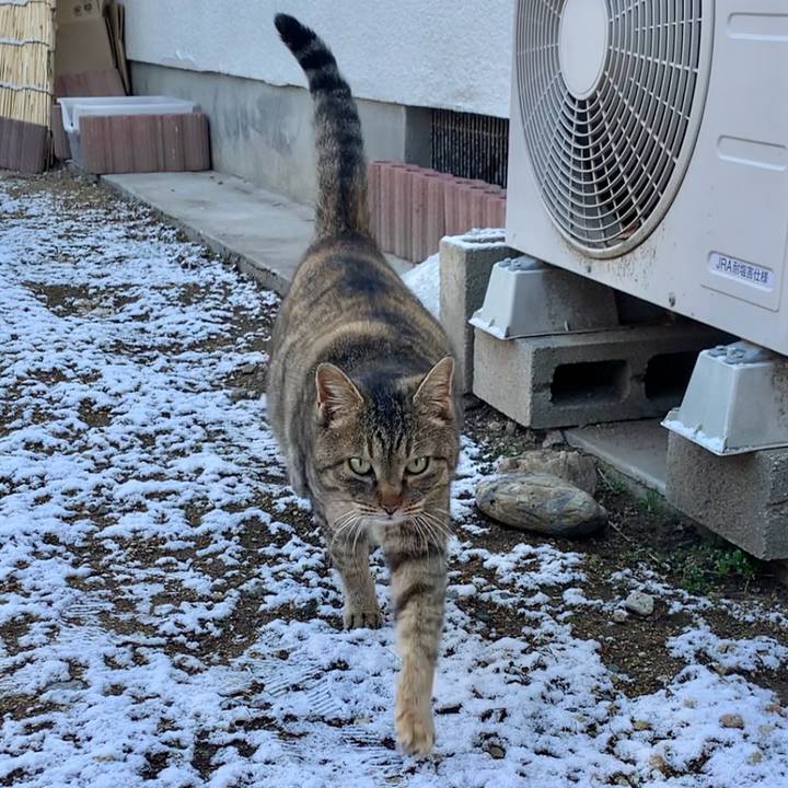 60d1049e 802b 4f4a 8c13 5a731318837c 1770530491753