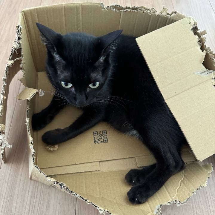 60d13040 611a 46ce 8efe c6c216c19b54 1722744626976