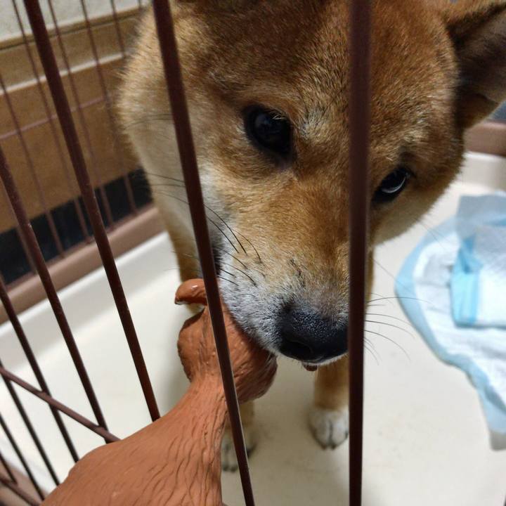 60d146a1 6d50 4249 ac7e d7d7036fddaa 1520503569549