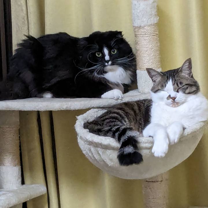 60d157b6 0c0f 4ba9 b965 66ae64e7c800 1711452998077