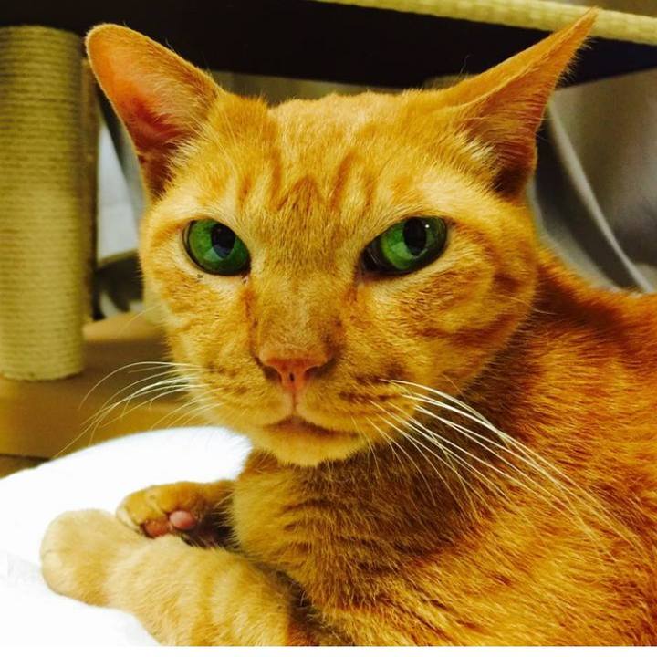 60d198e3 9628 48cc 8b29 74208fdf99b5 1690620298734