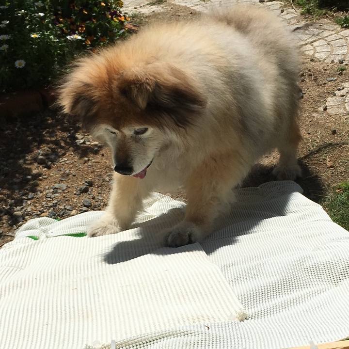 60d1adb2 6982 4f65 8a03 cc6a11cb194a 1600331299384