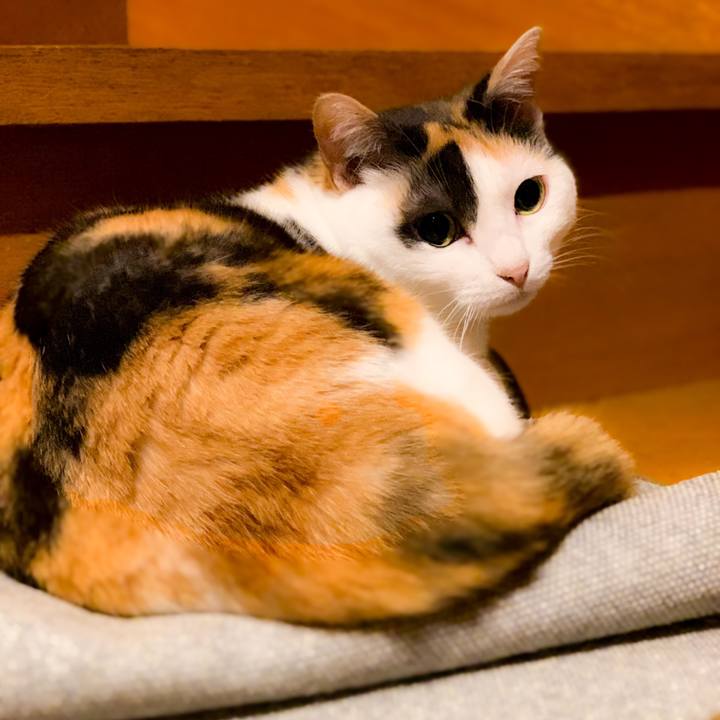 60d1b0af 2105 4f38 aba0 2937701cccd1 1562550336901