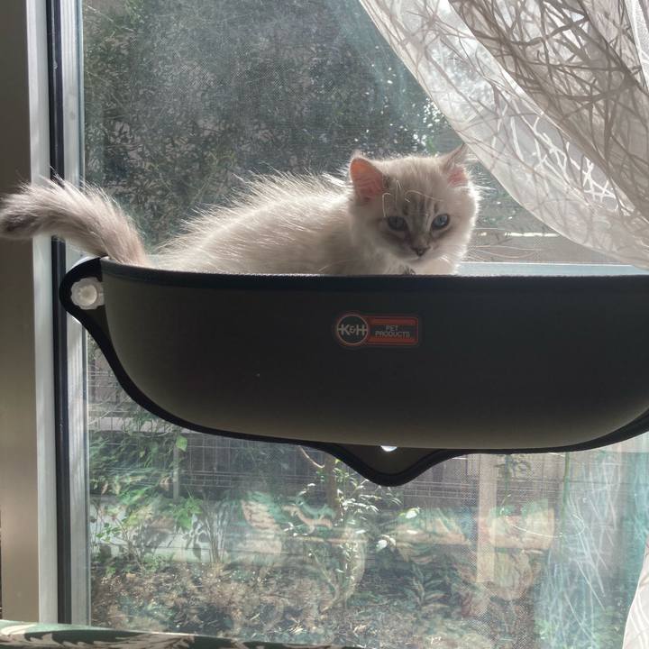 60d1dafc d6e5 4201 b70e 68997853ce63 1667105327921