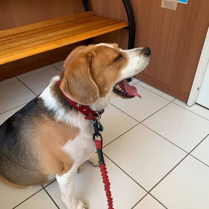 60d1fc40 3c92 47a3 91d6 8de0774082e8 1649558581199