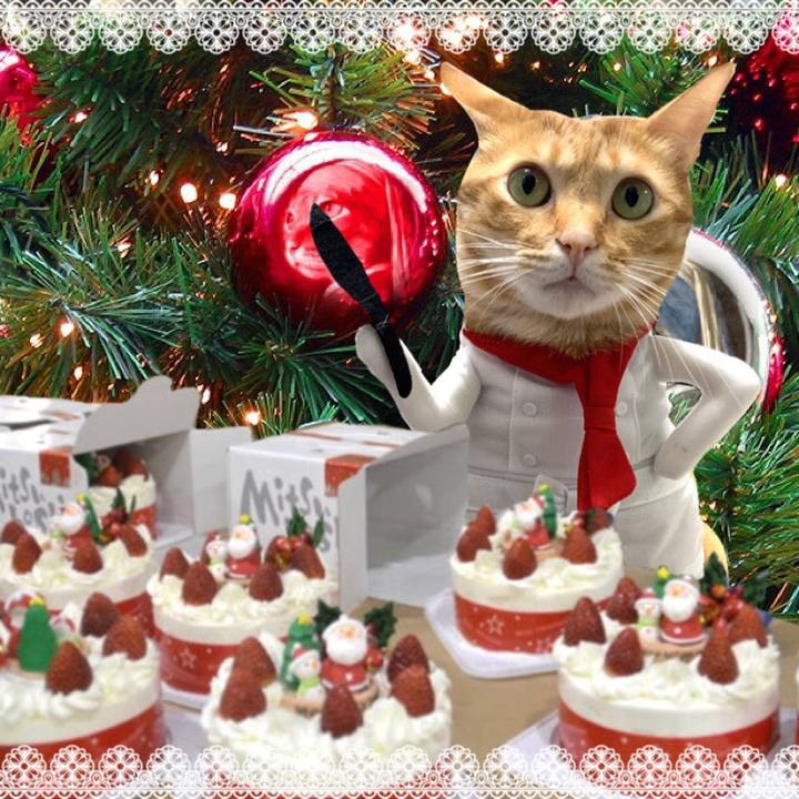 60d20304 58c7 4d81 ae9c a8fdfe3e4e66 1637582395120