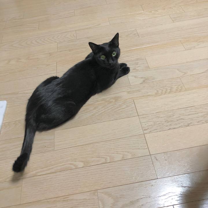 60d20ee1 e9b6 4799 8f24 f2f187502e0a 1600571114015