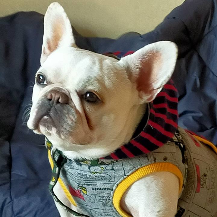 60d228ac ee1a 4203 bca5 2d1544ed2625 1644554807745