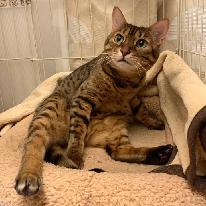 60d2496a 6d7d 4c54 8843 c4df818e77d3 1582331646622