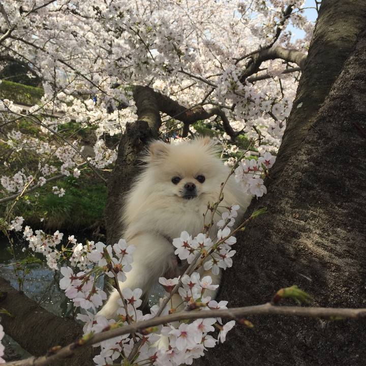 60d26566 6f76 425b 8ff8 54b064a4794a 1522300881715