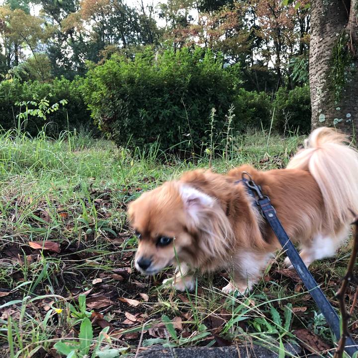 60d29a16 64bd 4f34 9202 3e21df28d7ac 1571782213164